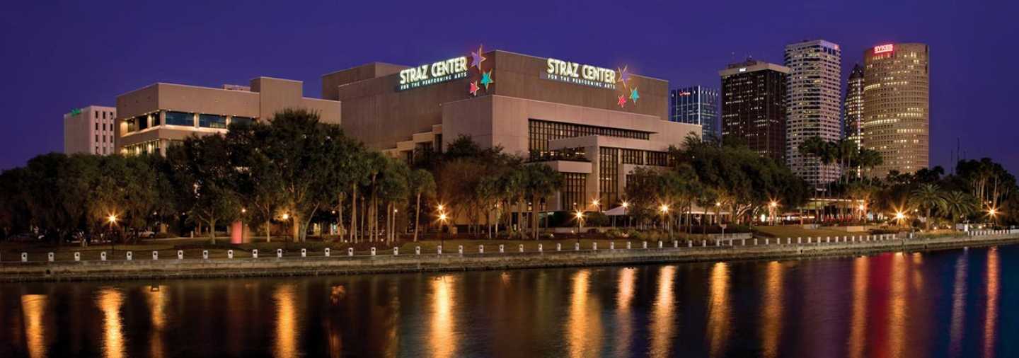 Curabitur vestibulum